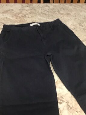 Everlane Navy Straight-Leg Chino Pants
